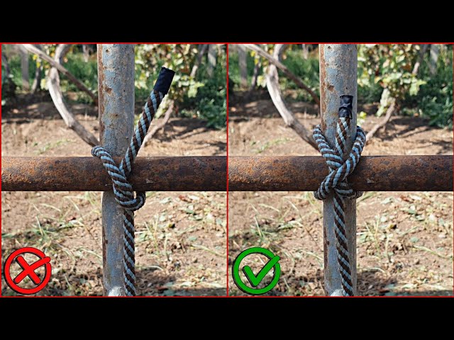 The Only 3 Knots You Actually Need to Know!