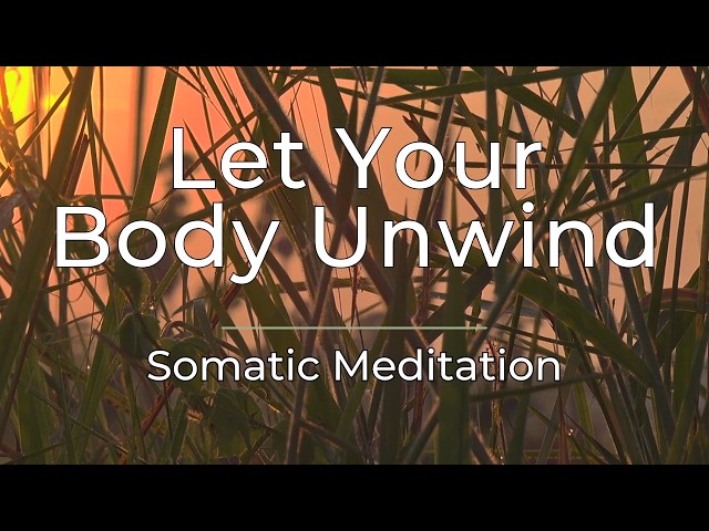 14-Minute Somatic Meditation | Calm Anxiety and Feel Safe in Your Body