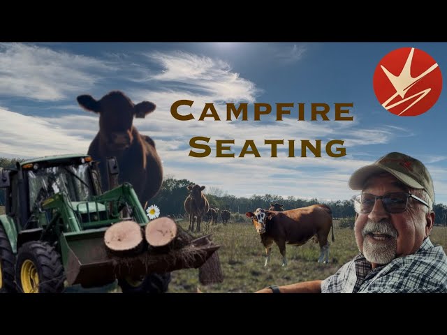 New campfire seats, and cleaning the creek bed
