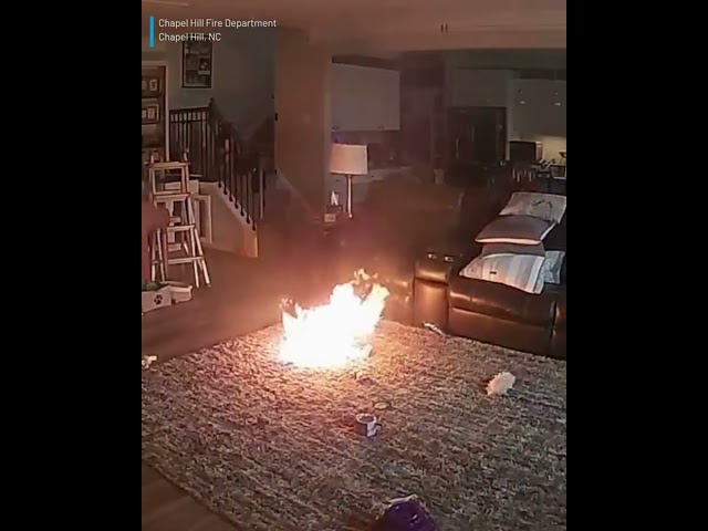 Dog causes fire