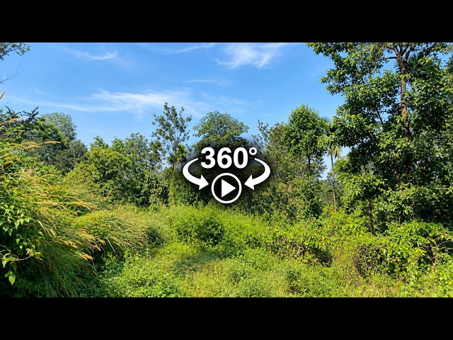 5 Acres of Land for Sale in Dasanakkara, Near Panamaram, Wayanad