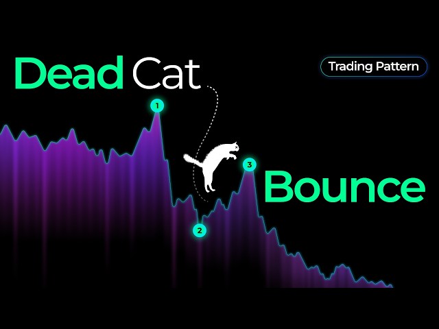 How to Trade on Dead Cat Bounce