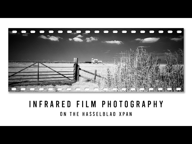 Panoramic Infrared Film Photography