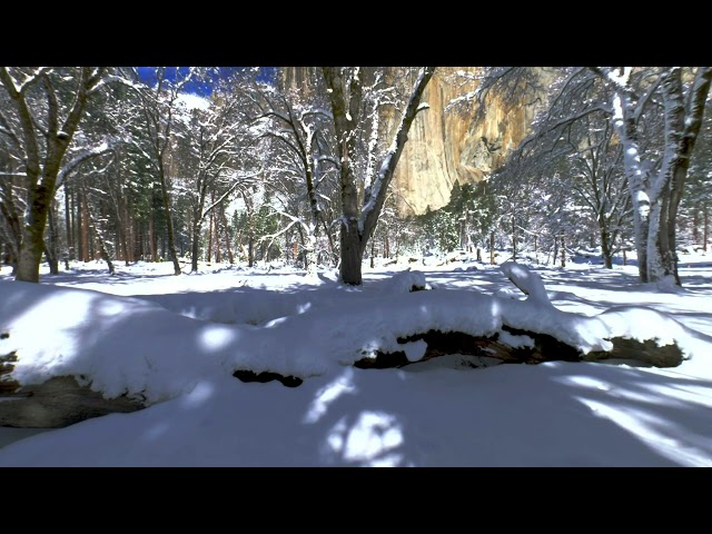 Yosemite Snow Under El Capitan