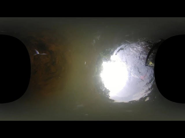 Lake Ouachita 360 diving with Brian Curtis (ft Nick)