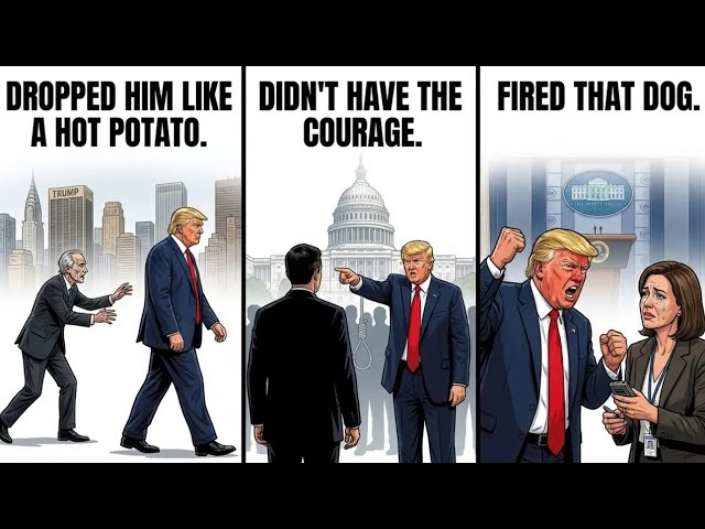 Every Trump Ally He Turned His Back On Explained