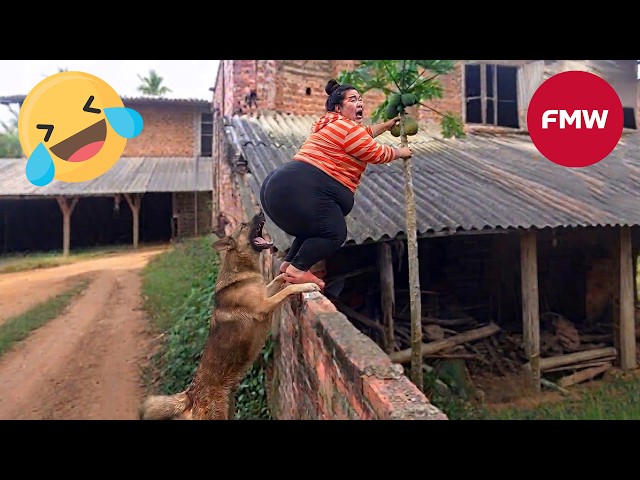 Try Not To Laugh 🤣 Top 100 Funniest Videos Ever 😂 | Funny Videos Compilation 2026 #99