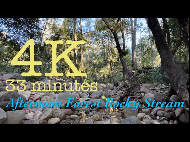 Winter 33 Minutes Afternoon Forest Rocky Stream - 4K Ambience background screensaver