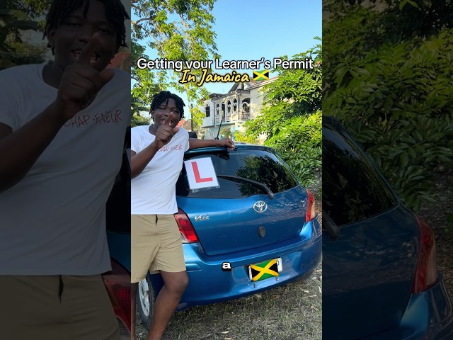 Road Trip Ready: My Epic Driver's License Journey - April 2025