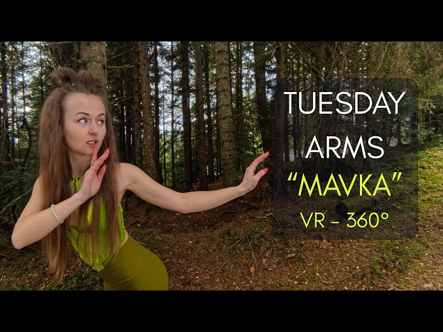 VR TUESDAY: Arm Dance Virtual Reality Workout – 360° Graceful Upper Body Flow |MORNING PERSON|