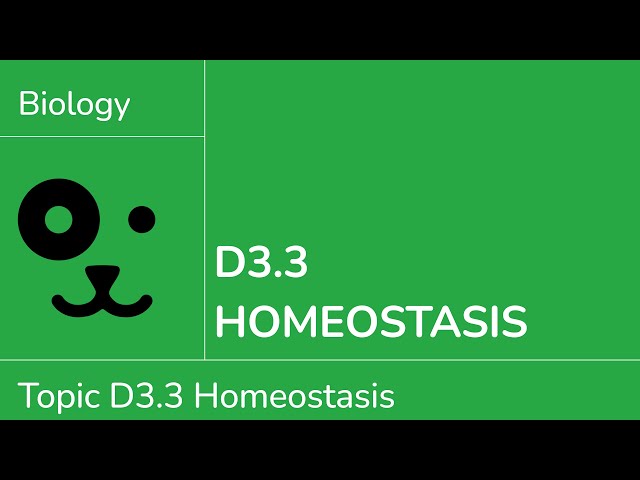 D3.3 Homeostasis [IB Biology SL/HL]