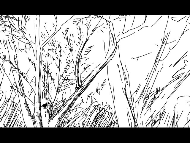 Zeichnen - Baum und Vegetation