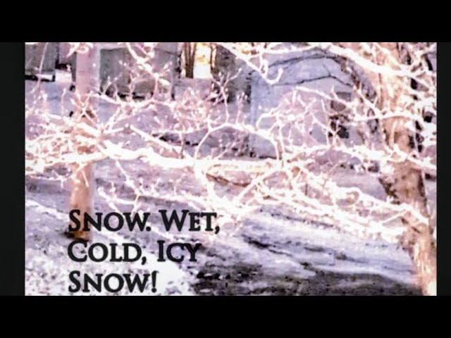 Snow! Polar Vortex Is Here! Get Out the Sleighs!