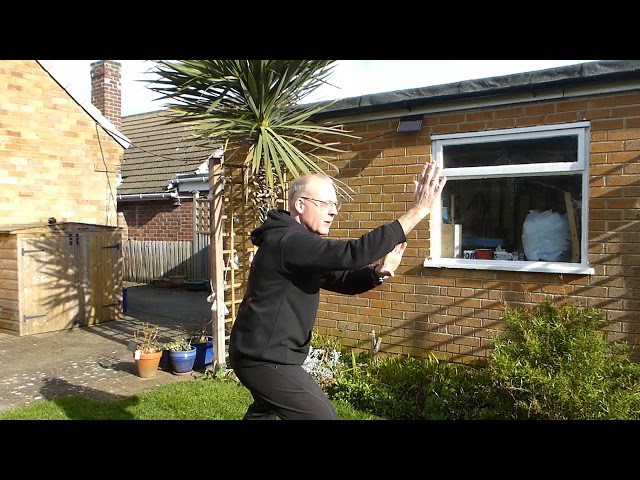Ba Fa - The Basic 8 movements - Chen style