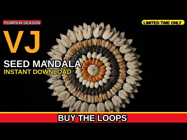Seed Mandala Pumpkin Season VJ Loop by Chromatomorphosis