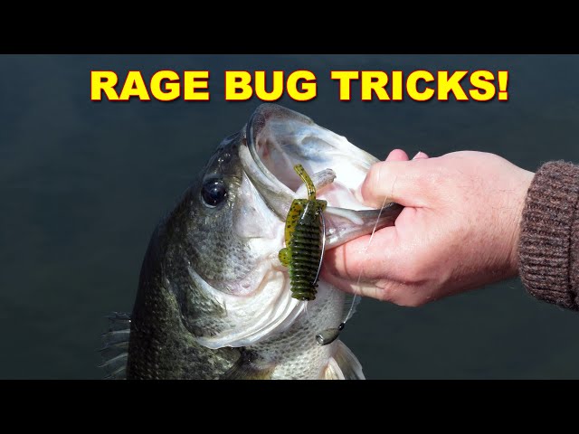 Rage Bug Tips That Work! | Bass Fishing
