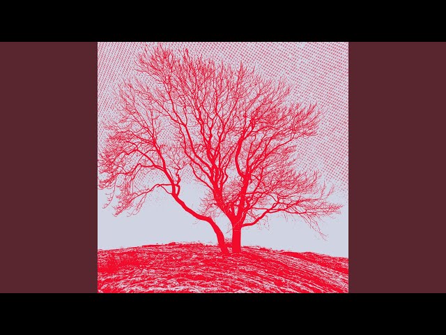 Baum