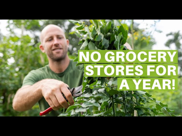 I Grew and Foraged 100% of My Food for an Entire Year
