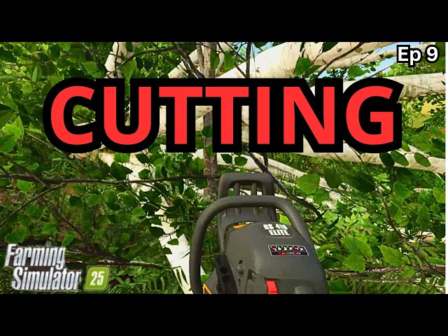 Turning Trees Into Cash | Farming Simulator 25