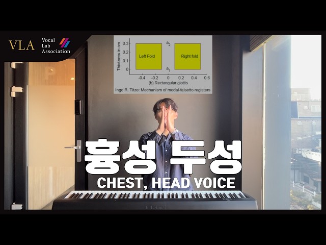 기초 보컬강의 | 4강- 공명: 성구와 흉성, 두성의 개념