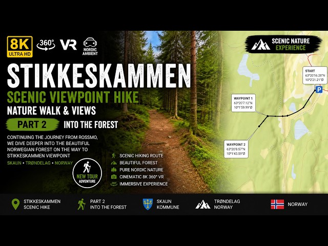 Stikkeskammen Trail Part 2 | Into the Forest | 8K 360° VR Norway