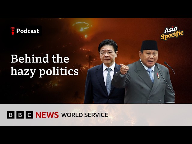 Why a comment about haze fired up Indonesia’s neighbours  - Asia Specific podcast, BBC World Service