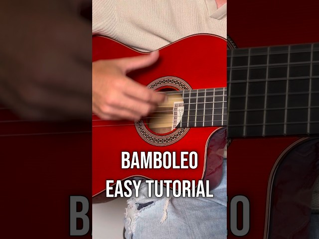 Bamboleo easy tutorial for beginners