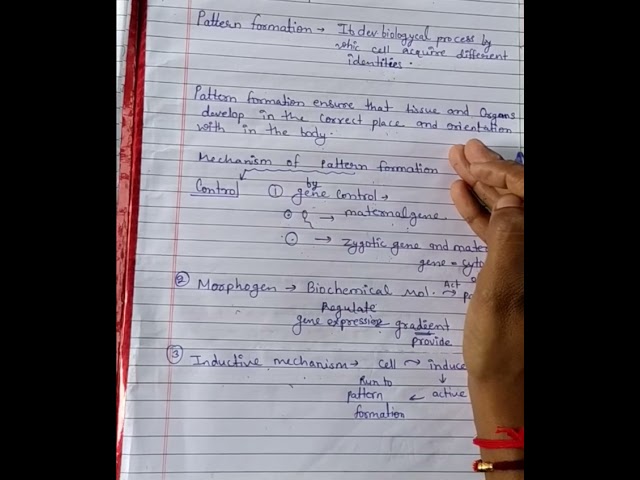 pattern formation lecture-7 हिंदी में