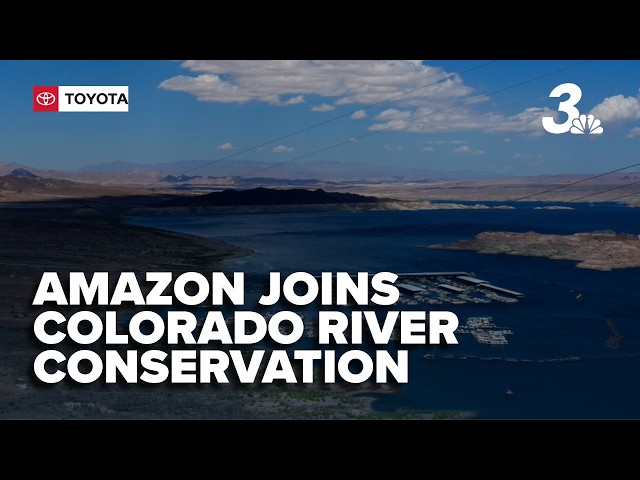Colorado River conservation must expand beyond Las Vegas, expert says