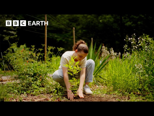 5 Everyday Choices With A Surprising Impact On The Planet