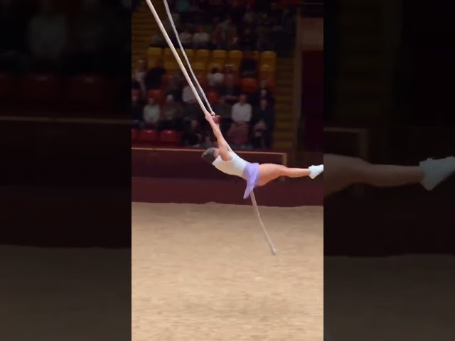 Unbelievable Stunt At Live Show.... #circus #unbelivable #amazing #backflipped #highestjump