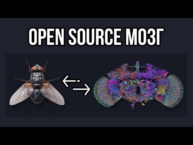 The entire internet is trolling the Open Source fruit fly BRAIN (and so am I)