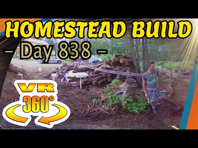 Homestead Building - Firewood Drying Shed, Clearing the Site