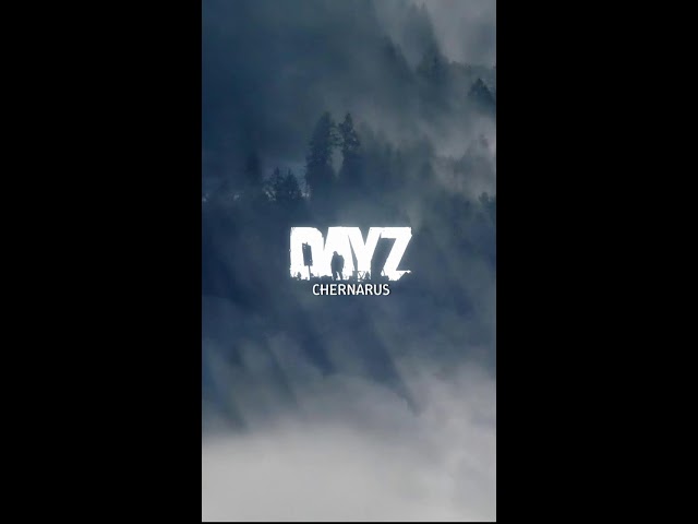 Finally Back to Chernarus - Playing With Viewers - DayZ 1440p (Portrait)