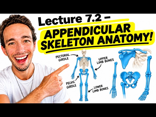A&P1 - Lecture 7.2 | Appendicular Skeleton Anatomy (ACE Your Practical!)