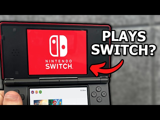 I bought a DS that plays Switch Games from Amazon... 😬