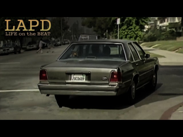 LAPD: Life On The Beat - Season 2 " Society's Child" (1997)