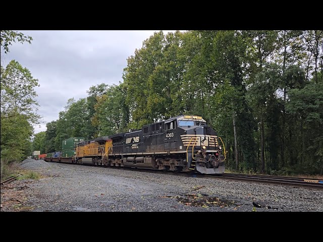 Railfanning NS at Clinton, NJ | Ft. UP Power 