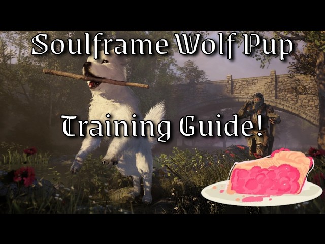 Soulframe Wolf Training Guide | Soulframe Update 16 Wolfpup Training Breakdown