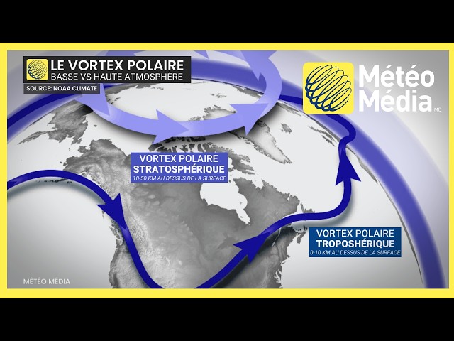 El Niño and the Polar Vortex: The Great Paradox of the Coming Winter