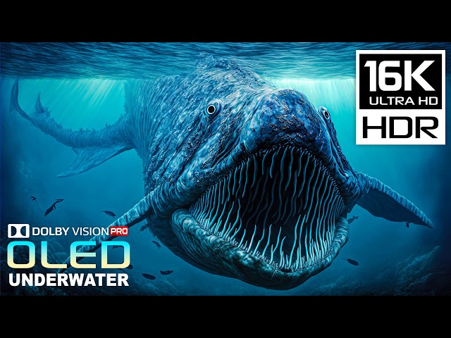 Incredible World of Underwater | Best Dolby Vision 16K HDR 60 fps | 8K/4K Video ULTRA HD TV