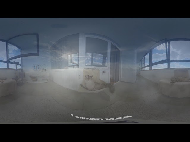 180° 3D VR Cat Meditation for Relaxation, relaxation Music