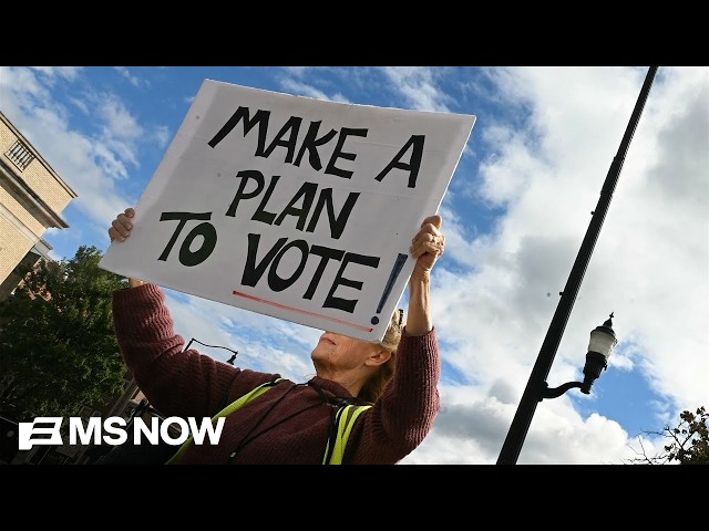 'VOTE EARLY': No Kings rallies seek to activate midterm voter turnout