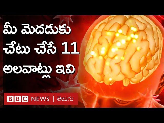 Brain Health: మెదడుకు చేటు చేసే 11 అలవాట్లు, వాటి నుంచి బయటపడే మార్గాలు BBC Telugu