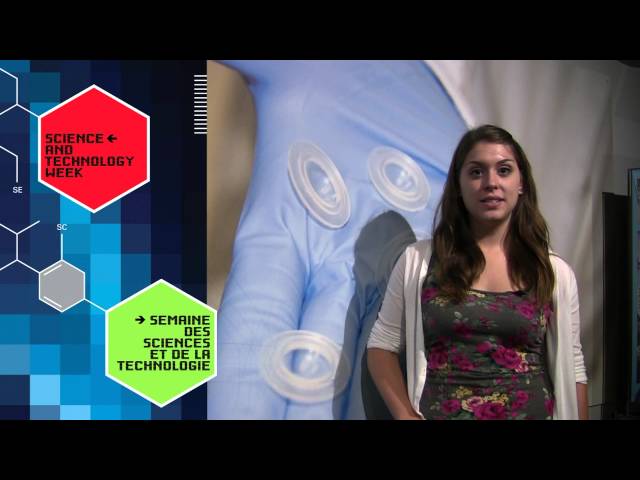 National Science and Technology Week Champion | Brigitte