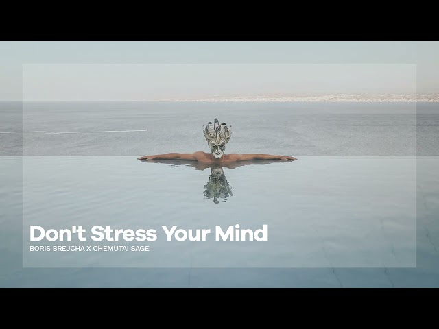 Boris Brejcha & Chemutai Sage - Don't Stress Your Mind