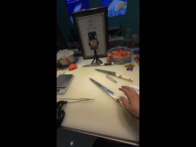 Loop Life Live Stream