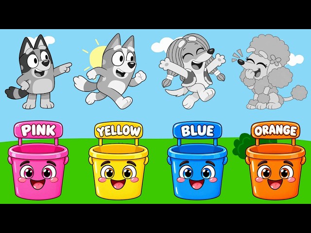 Bluey & Bingo Color Challenge 🌈 Learn Colors for Toddlers | Fun Kids Cartoon
