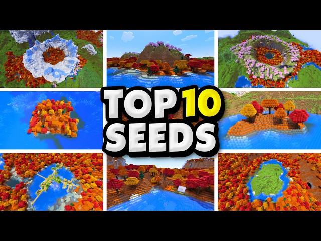 Top 10 Minecraft 26.3 Dappled Forest Seeds! (Wilderness Bound Update)