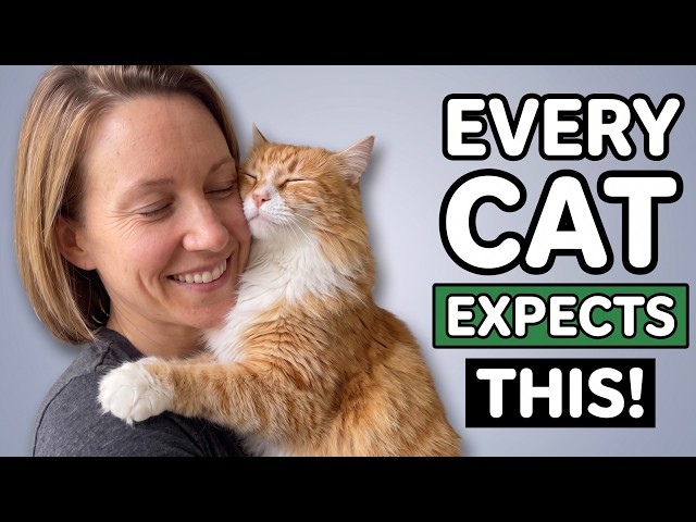 Your Cat Will LOVE You More If You Follow These Unspoken Rules